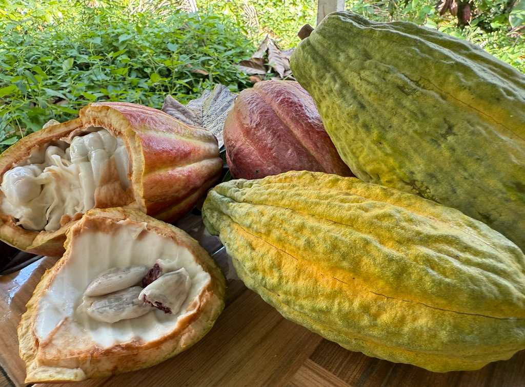 Australians Supporting Bali Beyond Tourism: A Cacao Mumma Story